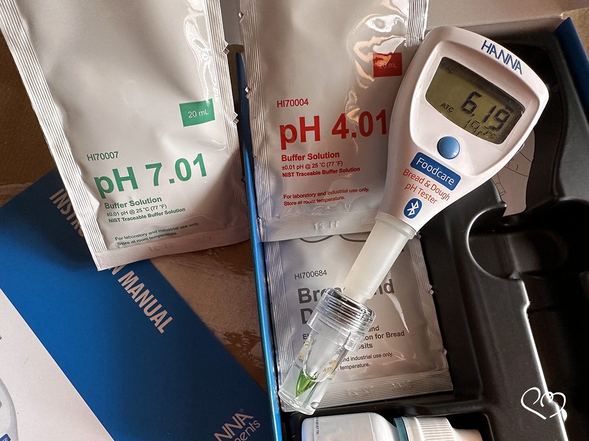 pHmetro per lievito madre e impasti: cura, durata e segnali di usura